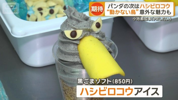 ハシビロコウのアイス