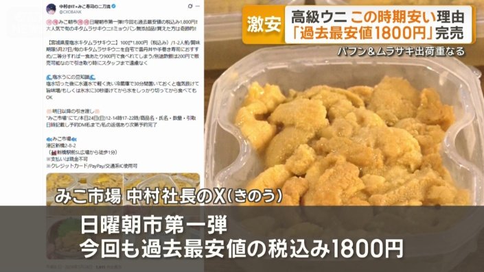 キタムラサキウニが100g1800円
