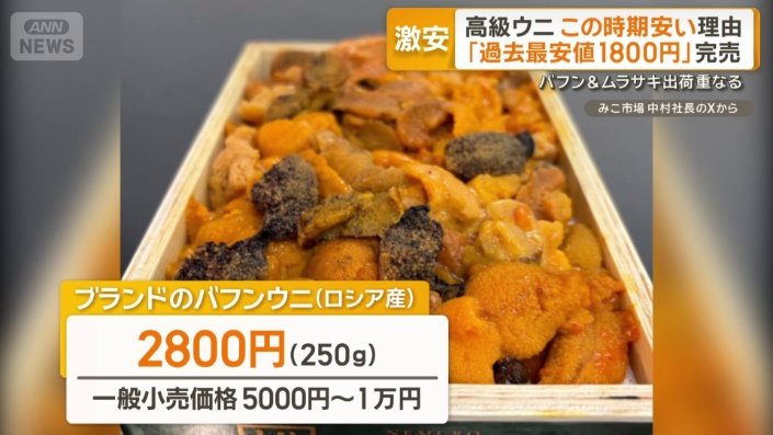 ロシア産のバフンウニ