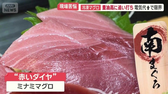 「赤いダイヤ」と呼ばれるミナミマグロ