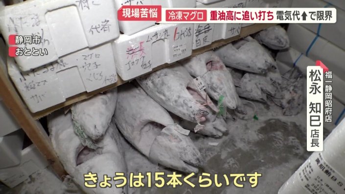 冷凍室の中は、極寒の世界