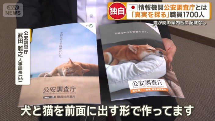犬や猫を使ったパンフレット