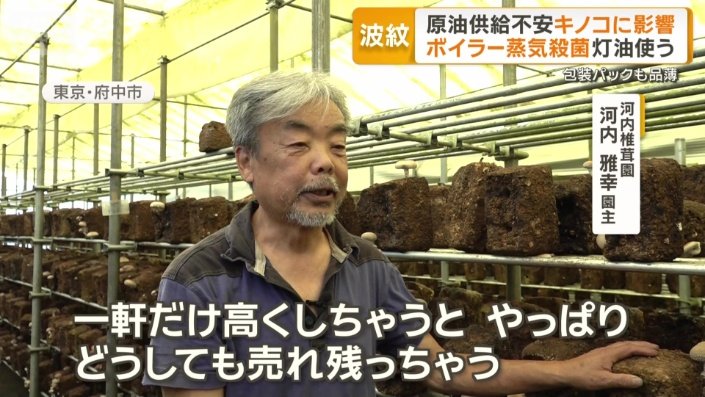 河内椎茸園　河内雅幸園主