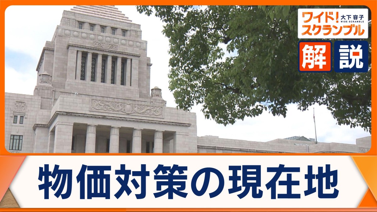 当面“給付に一本化”…与党から疑問の声も “つなぎ”の「消費減税」財源は？