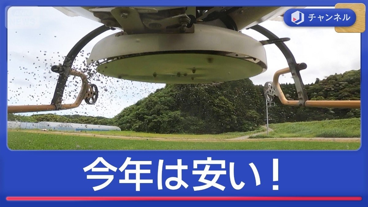 日本一早い新米が収穫！今年のコメ　古米より安い？