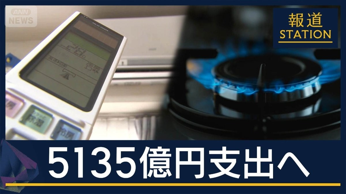 夏場の電気・ガス代“約5000円”支援決定 予備費から5135億円支出へ