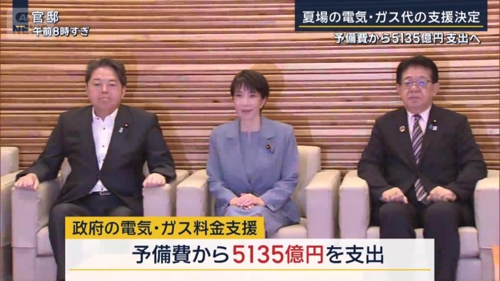 政府