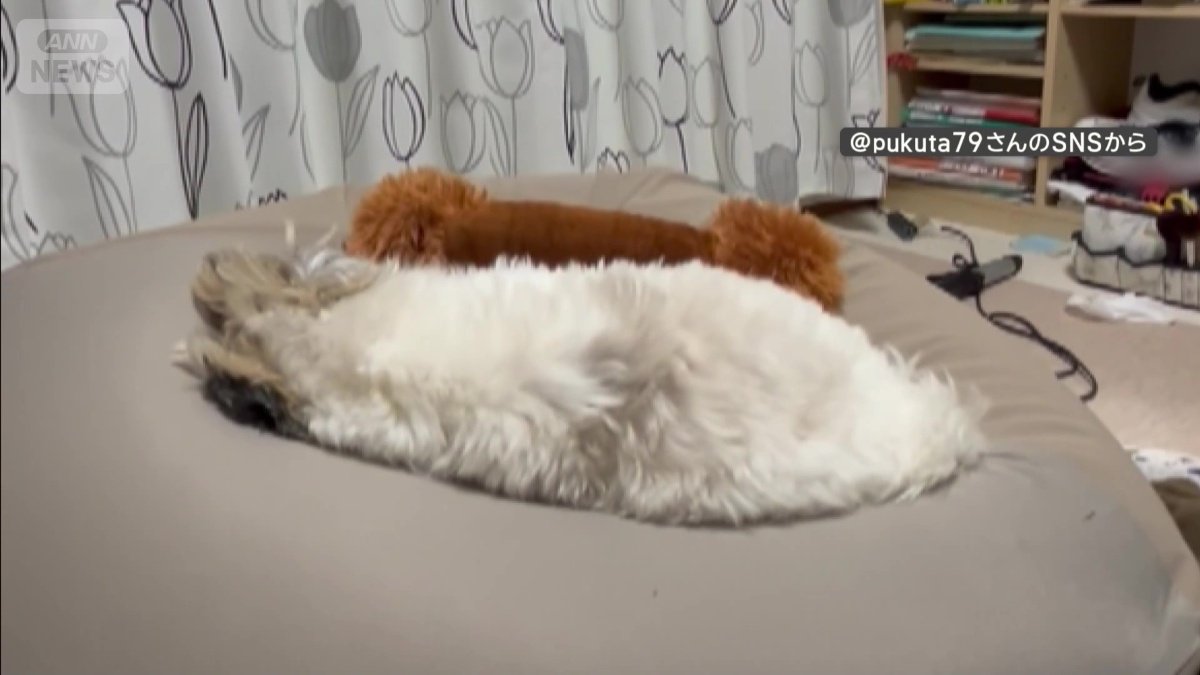 しばらく掘ると…パタリ