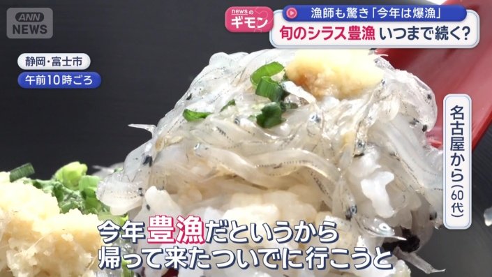 「今年豊漁だというから」