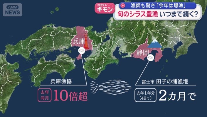 豊漁でにぎわっているのは静岡だけではない