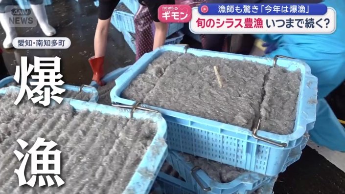 爆漁も納得