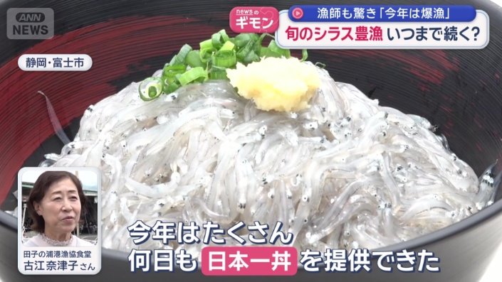 生シラスをこれでもかとのせた「日本一丼」