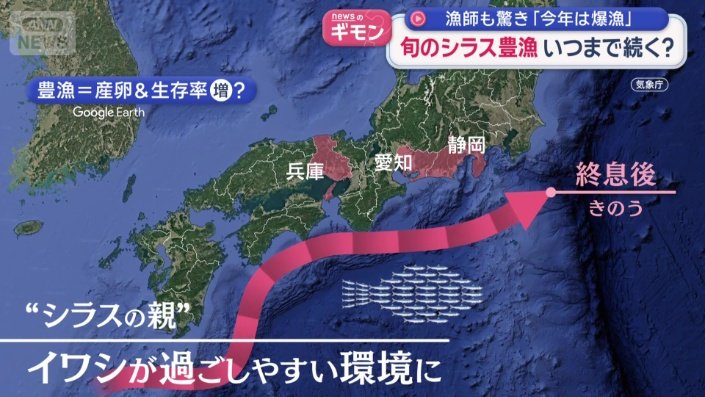 イワシが過ごしやすい環境が広がった