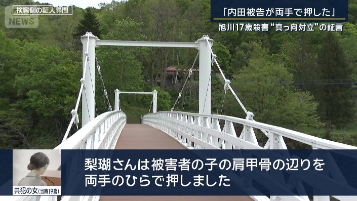 共犯の女