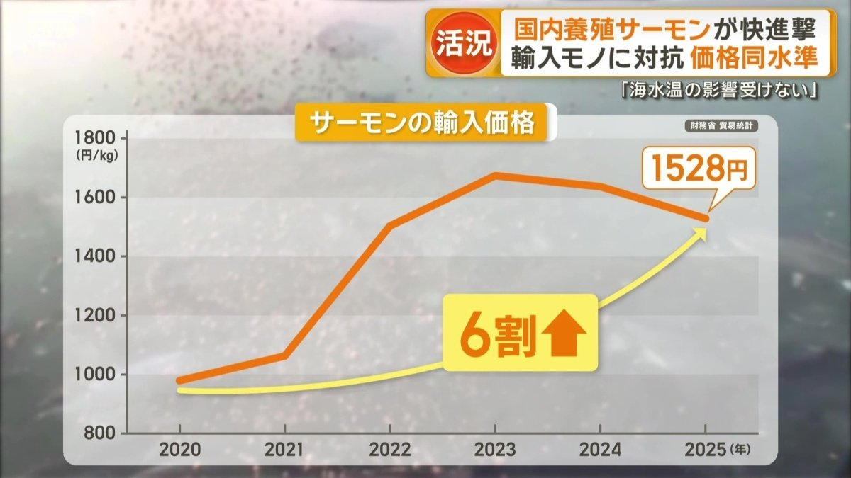 サーモンの輸入価格