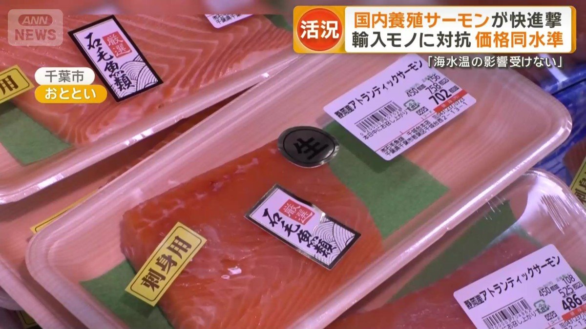 店に並んでいた国産サーモン