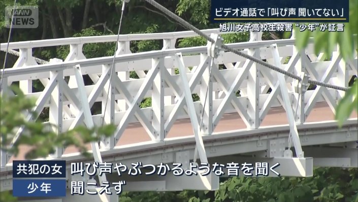 共犯の女