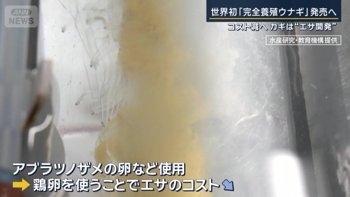 えさ