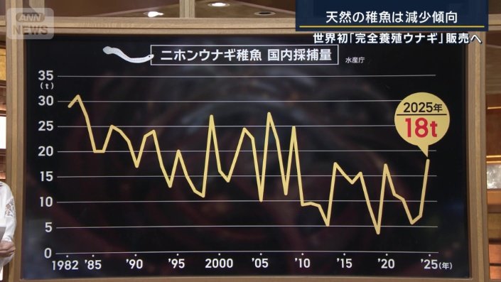 シラスウナギの確保