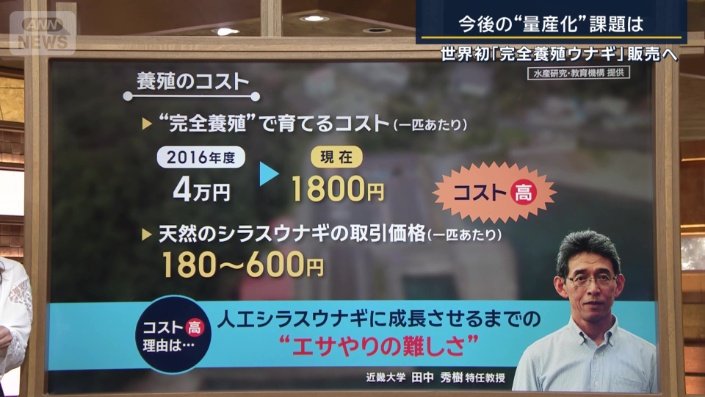 養殖のコスト