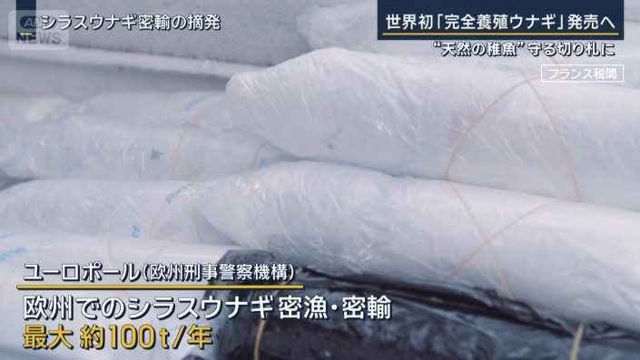 密漁・密輸