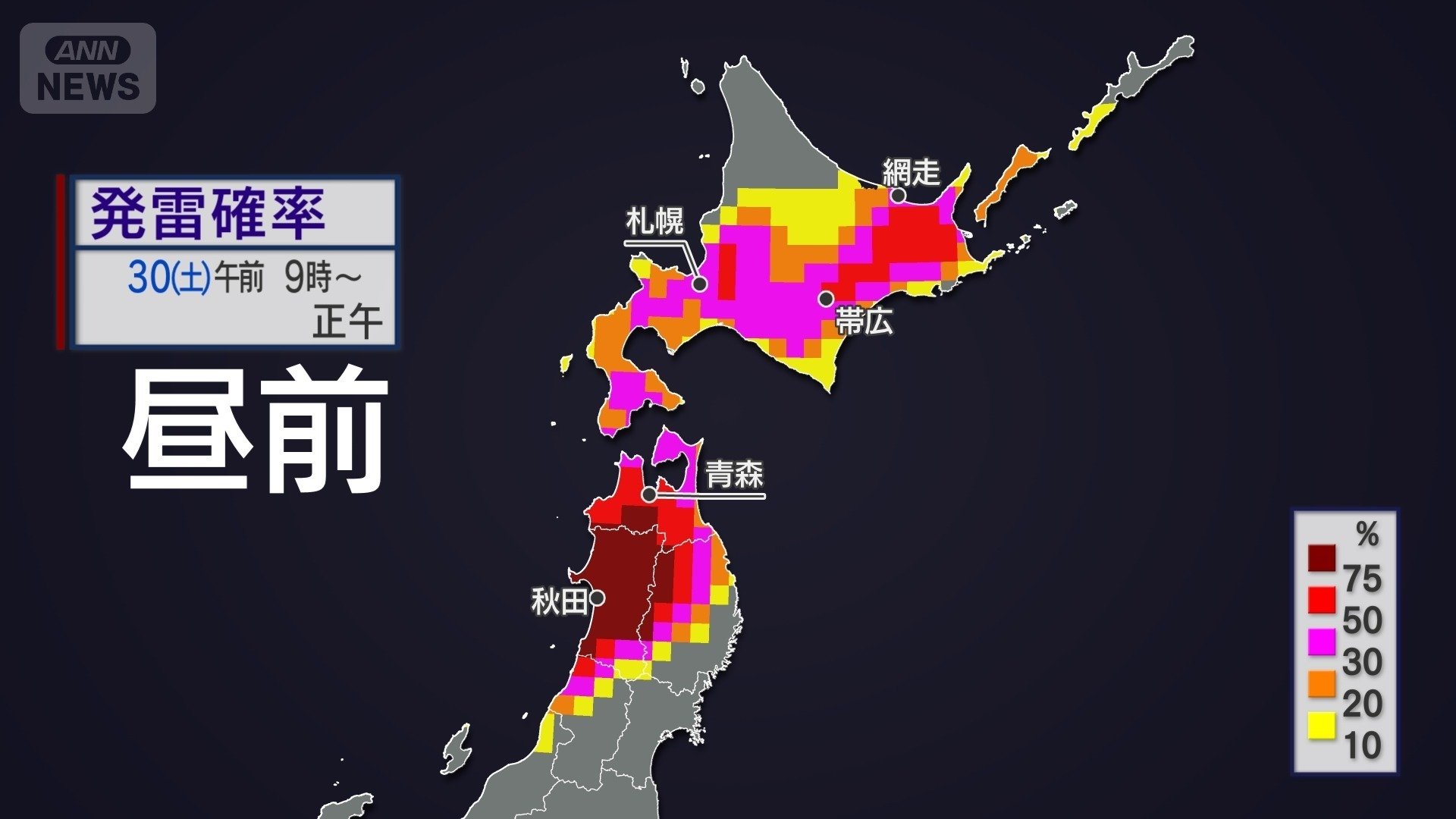 30日(土)昼前の発雷確率
