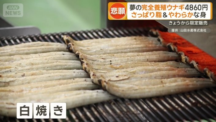 炭火で白焼きにしたあと蒸され…