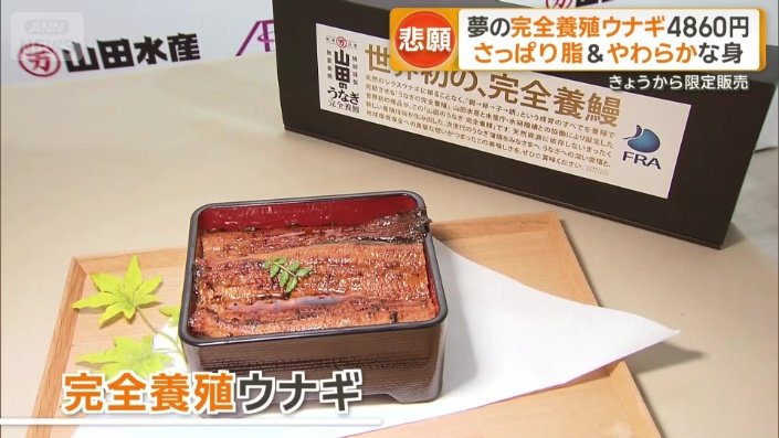 完全養殖ウナギ