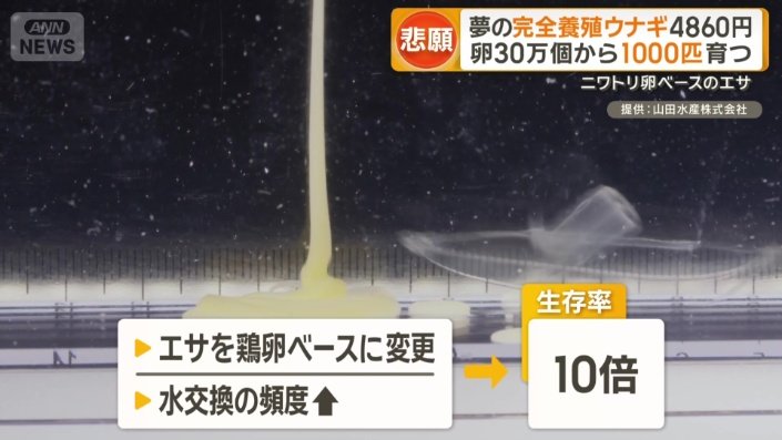生存率は従来の10倍に
