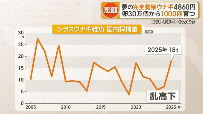 年によって価格が乱高下