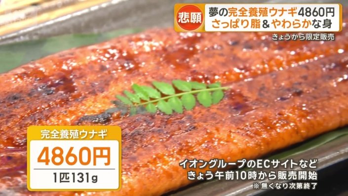 価格は1尾4860円から
