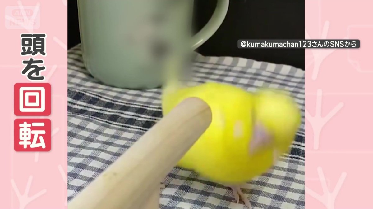 別の日も！