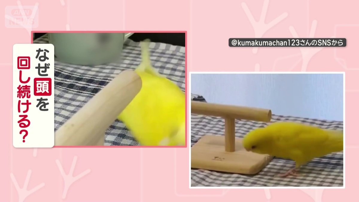 なぜ頭を回し続けるの？