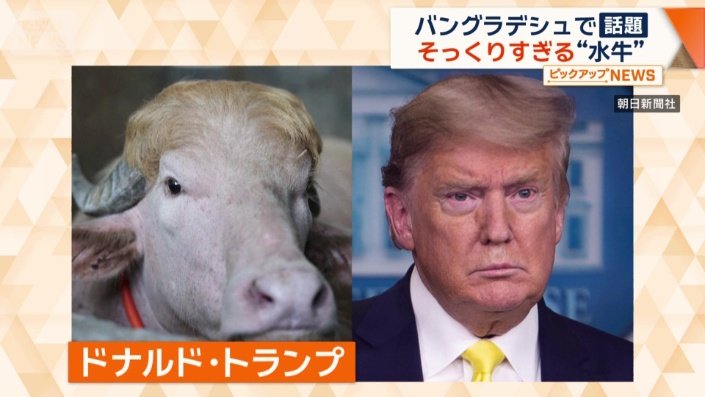 名前は「ドナルド・トランプ」