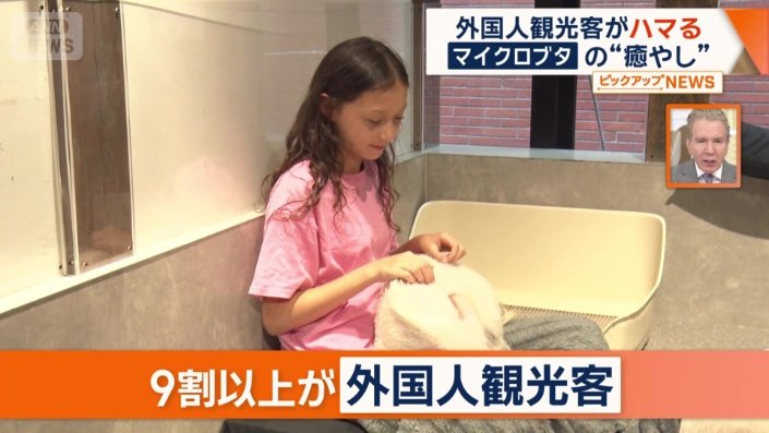 外国人観光客にも人気
