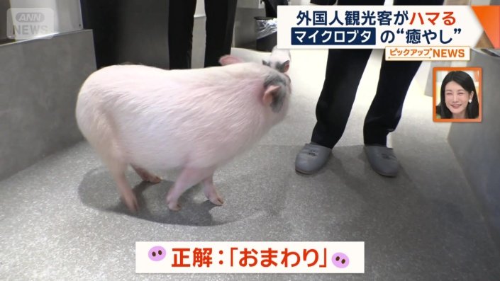 正解は「おまわり」