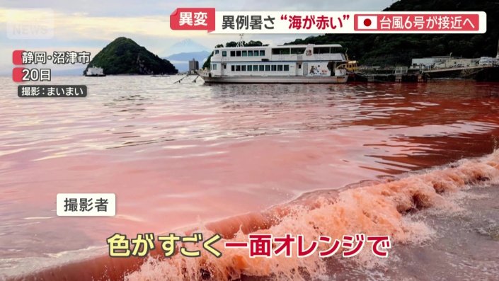 海にも暑さの影響か