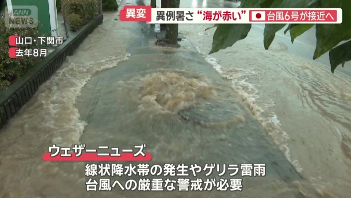 ウェザーニューズは