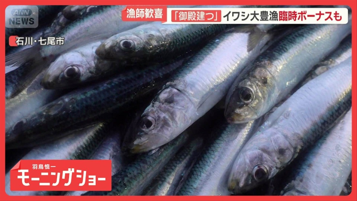 イワシやマグロが異例の豊漁　ウナギ値下げ…2年連続の稚魚豊漁　水産業に相次ぐ異変