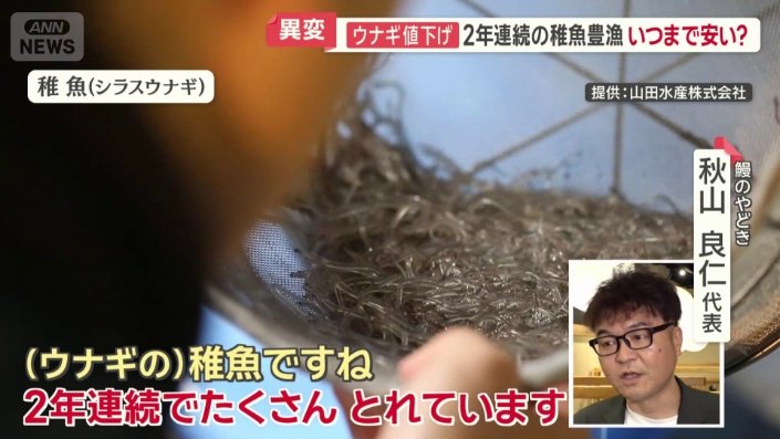 2年連続の稚魚豊漁