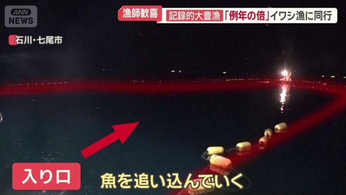 魚を追い込む