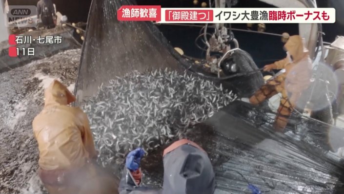連日 大豊漁