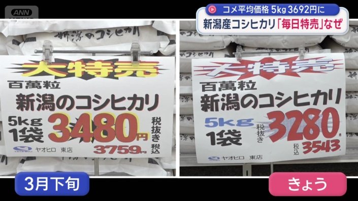 比較すると…