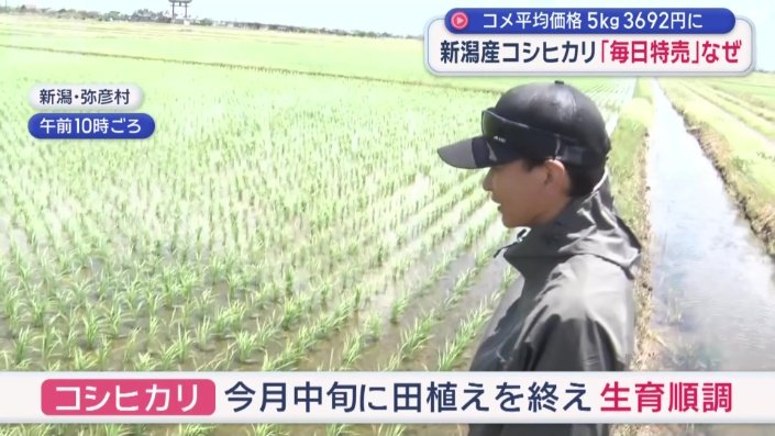順調に育っているという