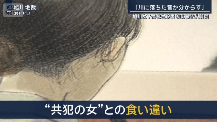 共犯の女