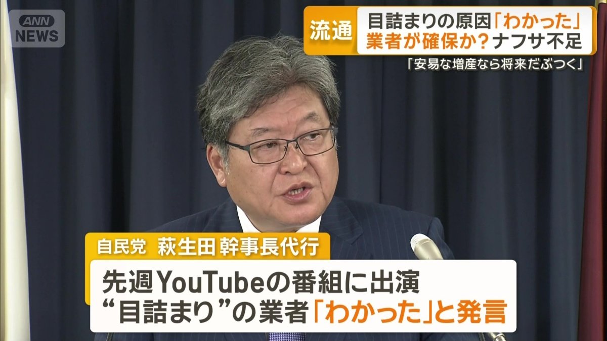 自民党の萩生田光一幹事長代行