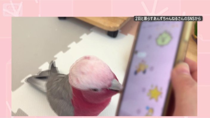 スマホ返して…