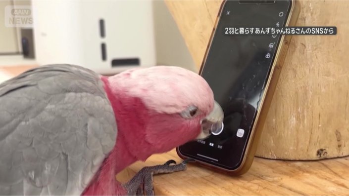 撮影も得意！