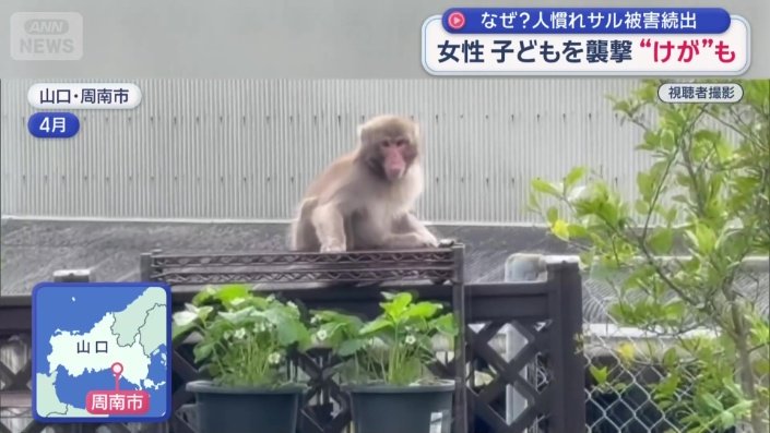 山口県の周南市でも