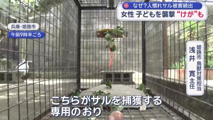 サルを捕獲する専用のおり